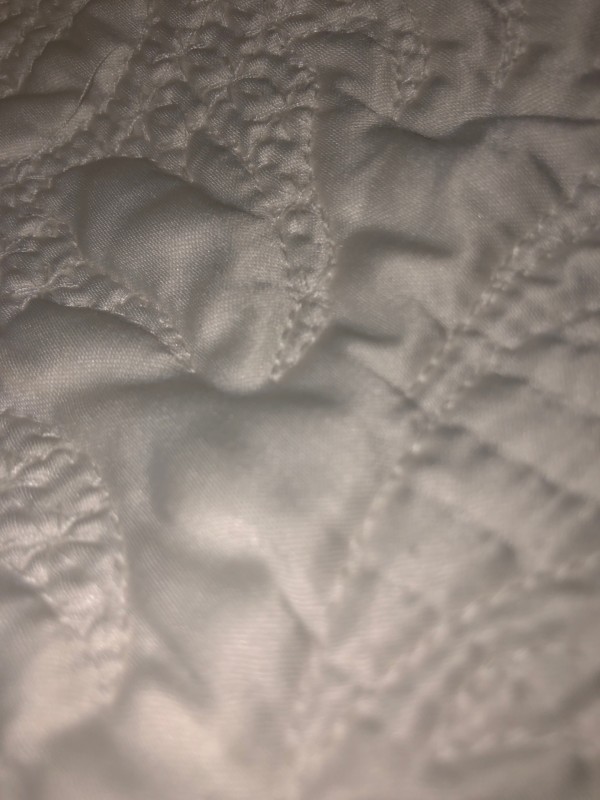 Recherche un jardin avec une serre pour pouvoir planter un potager à Bordeaux