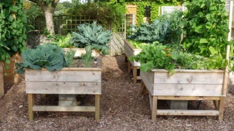 où trouver une formation en permaculture et en agroécologie pour créer sa micro-ferme sur Aix-en-provence proche de Marseille ?