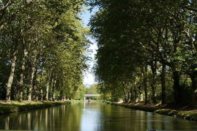 Le canal du midi, région Languedoc Roussillon