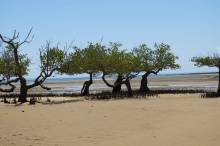 Voyage à Madagascar : le top 3 des sites naturels de Nosy Be à visiter